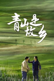 青山是故乡