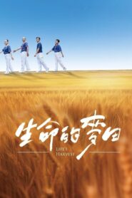 Life’s Harvest