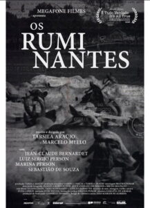 Os Ruminantes