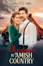 Christmas in Amish Country